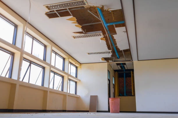 Best 24-hour water damage restoration  in Derwood, MD