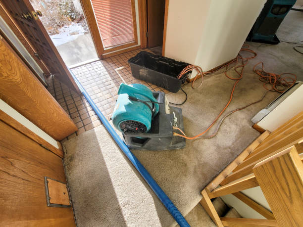 Best Flood damage cleanup  in Derwood, MD