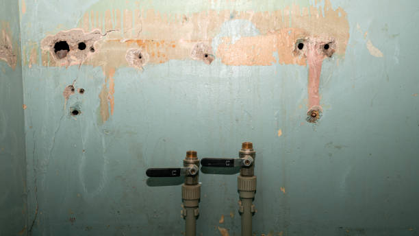 Best Water damage restoration near me  in Derwood, MD