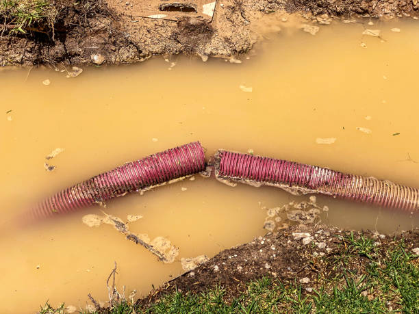 Best Professional water damage repair  in Derwood, MD